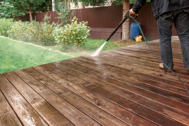 Best House Exterior Washing  in Renville, MN
