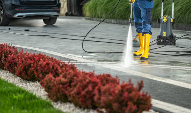 Best Gas Station Cleaning  in Renville, MN