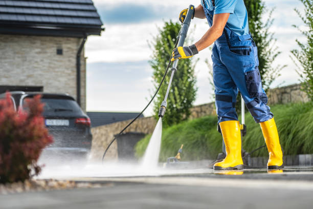 Best Sidewalk and Walkway Cleaning  in Renville, MN
